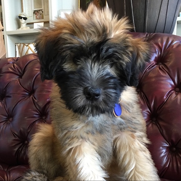 Meet your Posher, A - Picture 1 of 1